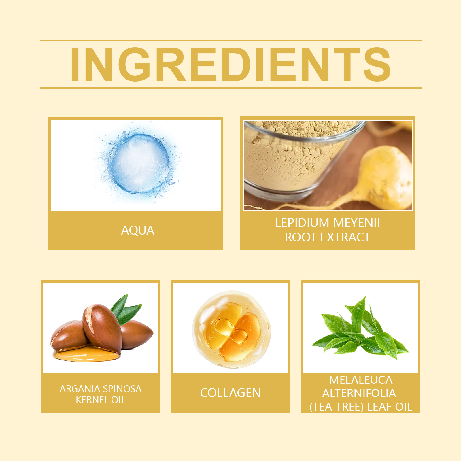 Hoegoa Plant Extract Hair Care Essential Oil Soft Luster, Non-Greasy Gentle Repair Scalp Hair Luster Nourishing Oil - Image 5