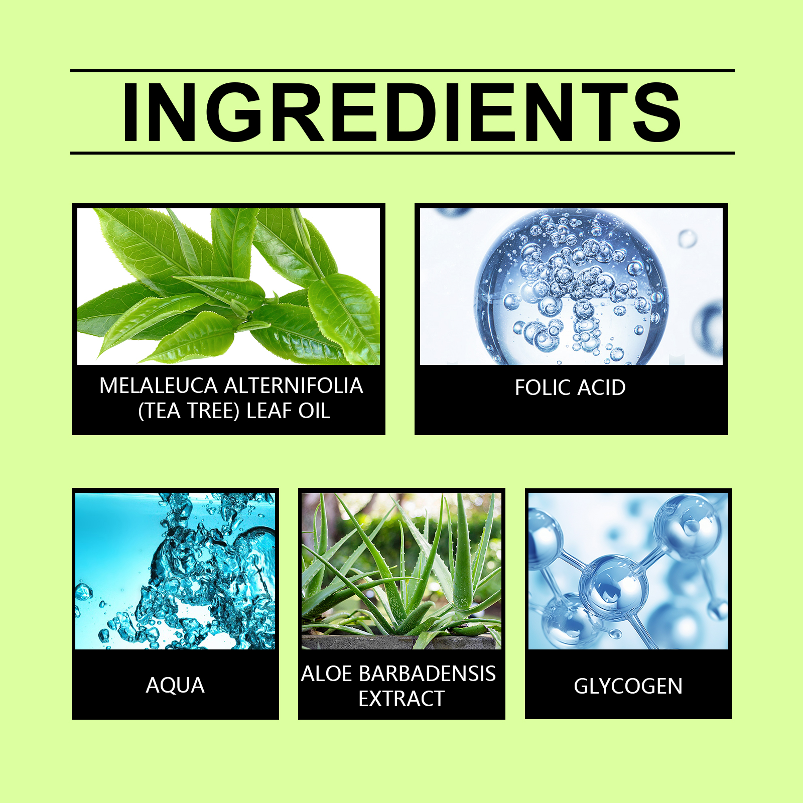 Hoegoa Hair Care Tea Tree Essential Oil Nourishes Hair Repair Dry Split Ends Dry Dry Leave-In Pure Tea Essential Oil - Image 5