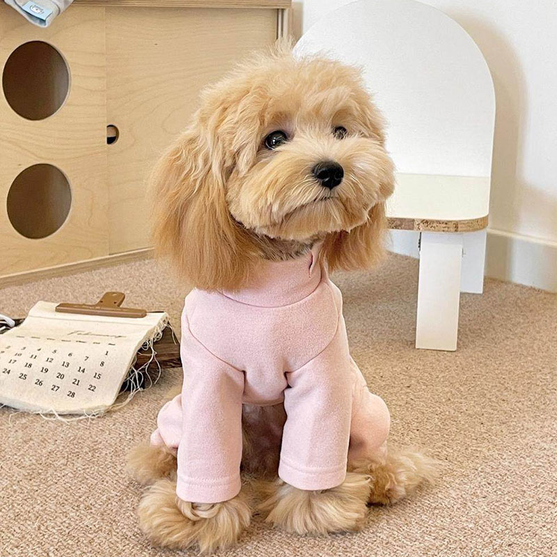 Elastic Pet Onesie, Four-Legged Pajamas for Small to Medium Dogs, Cream Color, Cozy Home Base Shirt, Warm Winter Dog Clothes - Image 5