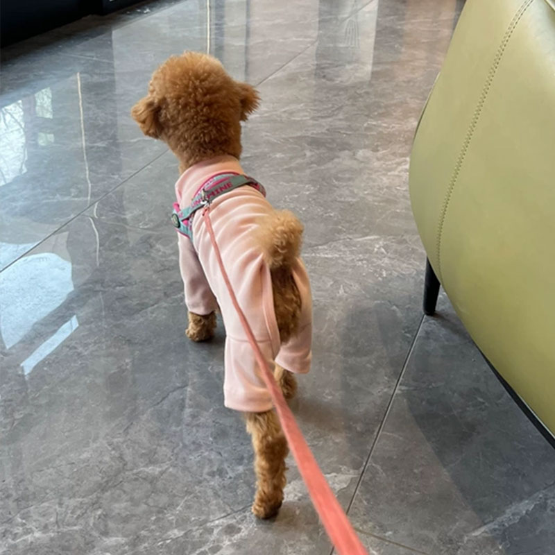 Elastic Pet Onesie, Four-Legged Pajamas for Small to Medium Dogs, Cream Color, Cozy Home Base Shirt, Warm Winter Dog Clothes - Image 4
