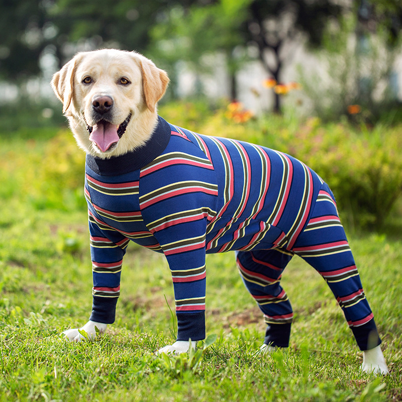 Medium and large dog pet clothing thin design belly protection weaning and sterilization suit - Image 18